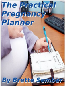 The Practical Pregnancy Planner by Brette Sember